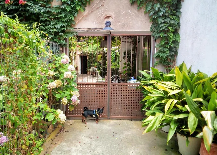 Marakasa B&B Sant Antoni De Calonge photo