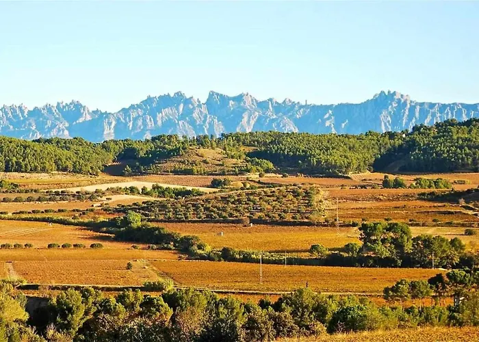 Hotel Rural Hd Riudebitlles Art I Allotjament Sant Pere de Riudebitlles photo