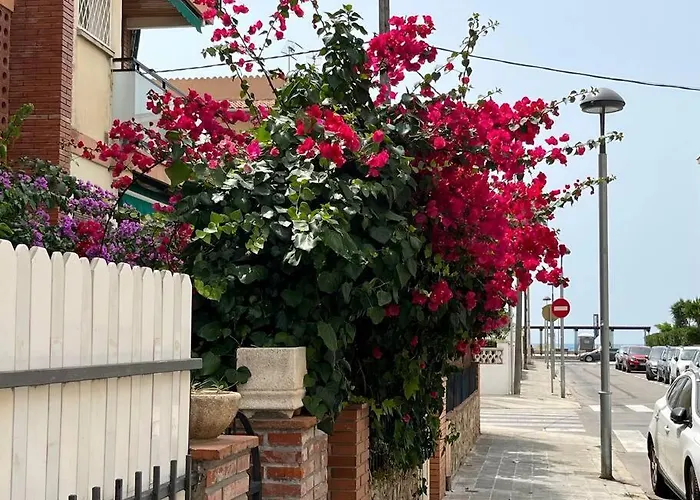 Apartament Precioso Bajo En 2A Linea De Mar Segur de Calafell zdjęcie