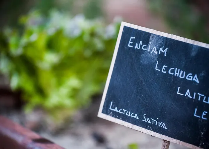 Suites Natura Mas Tapiolas Santa Cristina d'Aro photo