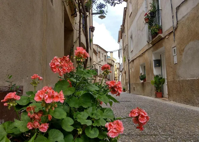 صورة Can Girmas Casa De Turisme Rural نافاتا