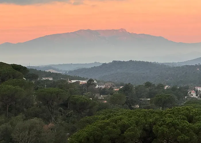 Casa Feliz Con Perros Villa Massanet De La Selva photo