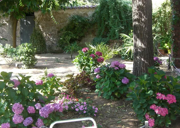 Hotel Torres Arbucies photo