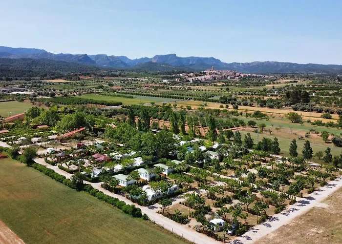 Camping Els Ports Arnes photo