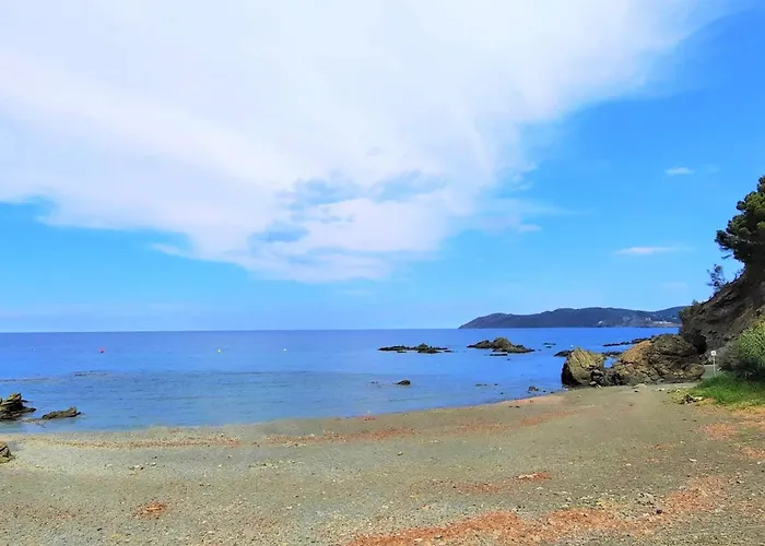 Apartamento Con Vistas Al Mar, Se Admiten Mascotas Y Aparcamiento En Llanca - Es-170-15 תמונה