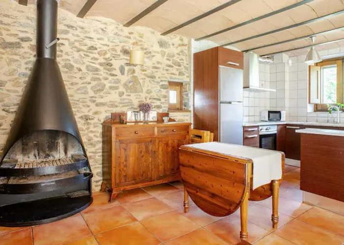 Cal Masover, Casa De Piedra Rehabilitada Planoles Foto