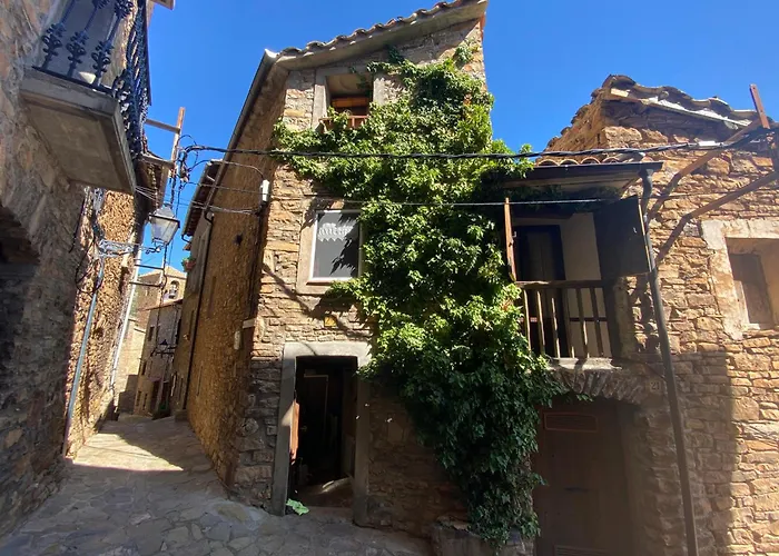 Фото Вилла Casa Narcis Claverol