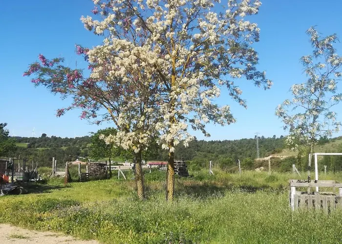 Moixons Lejlighed Calonge de Segarra foto