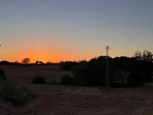 Duplex Les Coromines Lejlighed Sant Pere Sallavinera foto