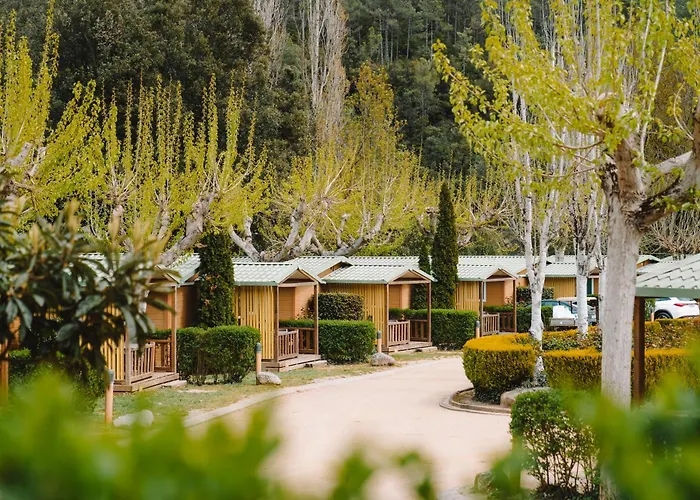 Taiga Bassegoda Park Albanya photo