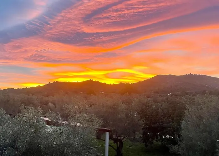 Photo de Can Mimosa Guesthouse Tortosa