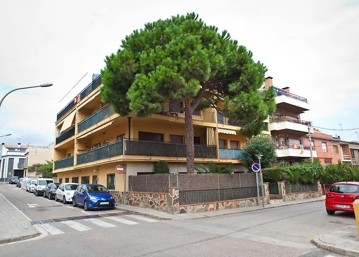 Minions Apartment Vilassar De Mar photo